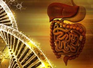 Nutrição Ortomolecular